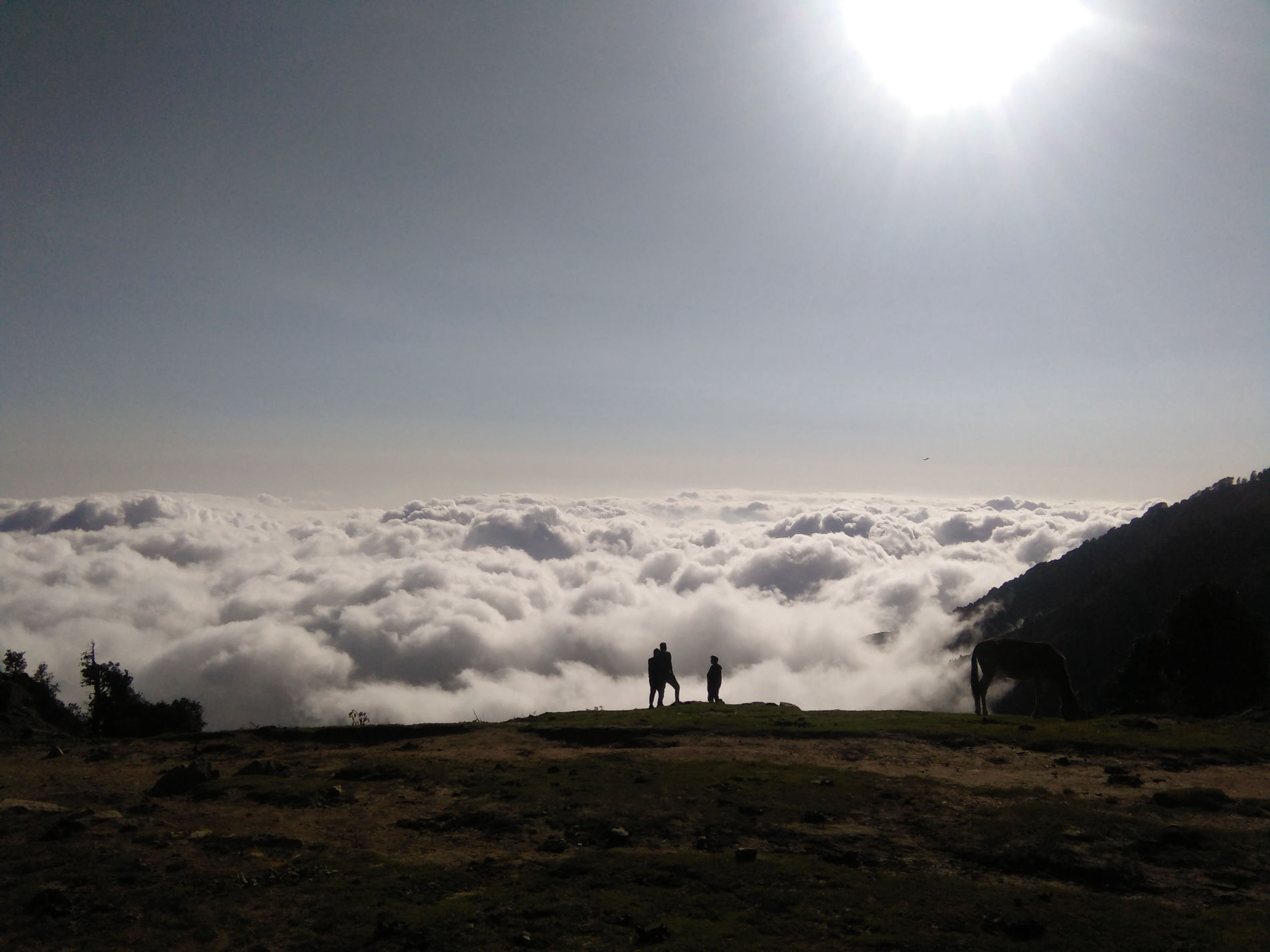 triund trek